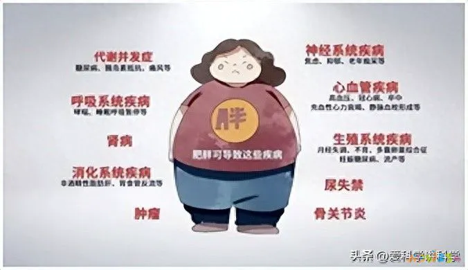 肥胖适合那些运动_运动可以淡化肥胖纹吗_肥胖指数适合儿童吗