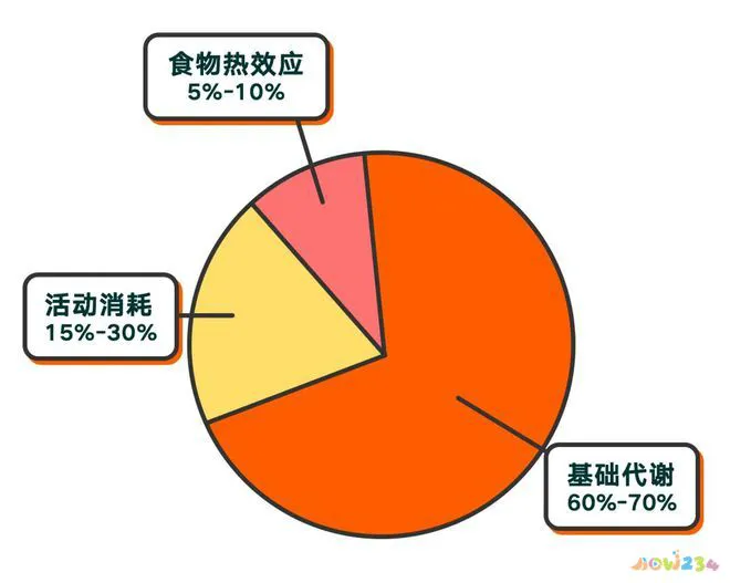 大腿脂肪消耗运动能减掉吗_怎样运动消耗大腿脂肪_大腿脂肪消耗运动能量吗