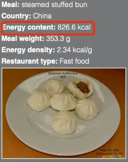 轻断食吃多了运动能抵消_轻运动断食可以减肥吗_轻断食可以运动吗