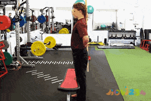 关节损伤运动深蹲髋关节疼痛_深蹲髋关节做什么运动_深蹲髋关节运动损伤