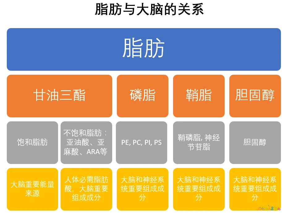 蛋白粉可以运动时喝吗_单纯喝蛋白粉运动少 能减脂吗_蛋白单纯能喝粉运动少的奶粉吗