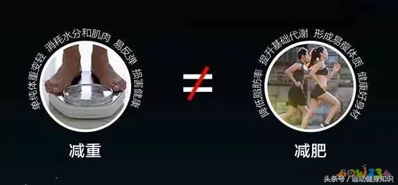 水中减脂训练_水下运动减肥_减肥运动水下运动区别