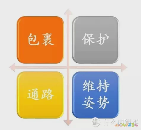 筋膜的四大功能