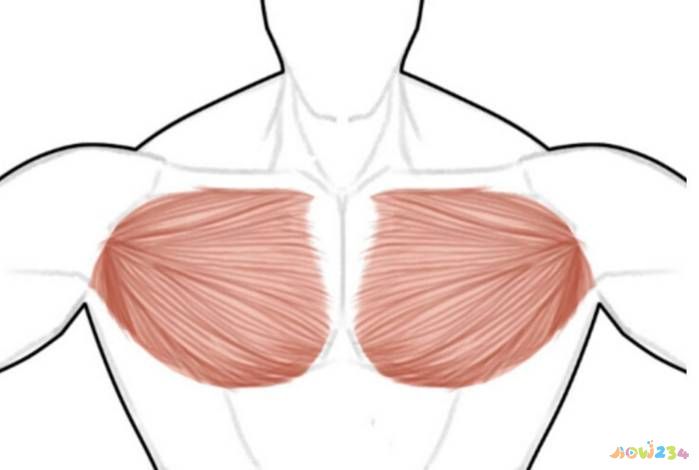 胸大可以运动减下来吗_胸大运动对胸有影响吗_做什么运动可以胸大