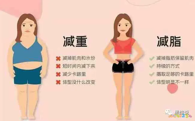 秋季减肥瘦身_秋季减肥运动视频_秋季运动减肥