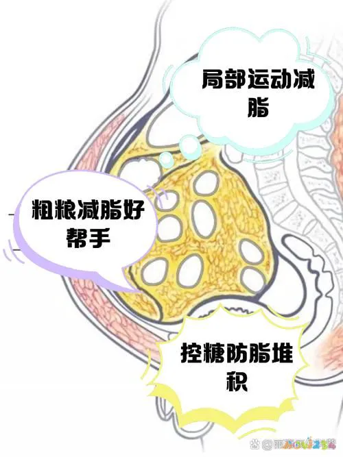 臂部怎么减肥运动_瘦臂运动怎么写_臂部减肥视频教程
