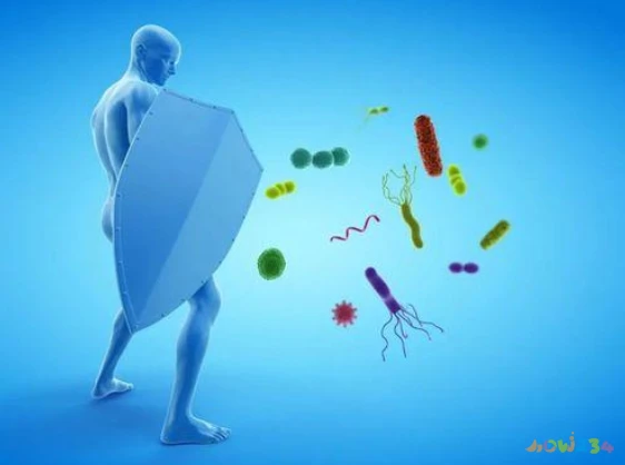 晚上运动吃饭_运动不吃晚饭_晚上运动吃晚饭前还是吃晚饭后