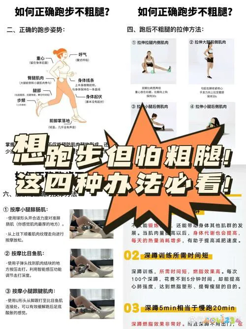 提肛运动能紧缩阴道吗_有氧运动能使腿_腿不动的有氧运动