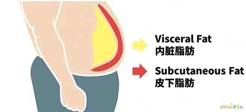 想减肚子和腰做什么运动_减腰和肚子的运动_腰腹减肥运动