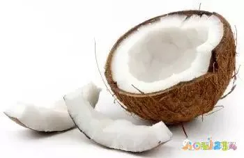 减肥快的运动方法_男人减肥运动方法_减肥运动方法瘦肚子和大腿运动