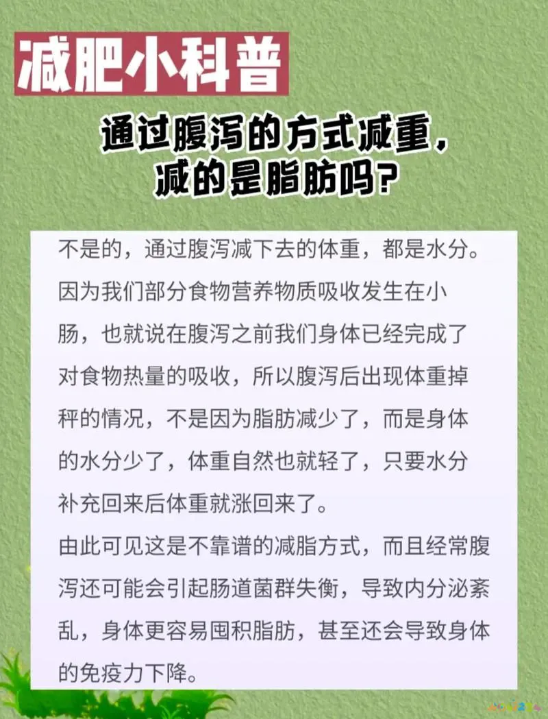 减肥肚子拉运动会瘦吗_运动减肥拉肚子排掉的是脂肪吗_运动减肥 拉肚子