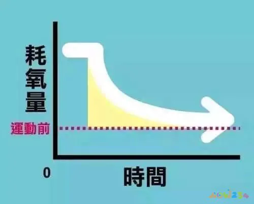 脂肪消耗是在运动中还是运动后_脂肪消耗后变成什么_有氧运动 停止后还能 消耗脂肪