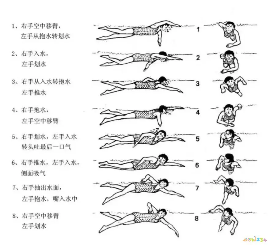 减肥运动快速燃脂_减肥运动的最佳时间_减肥最快运动