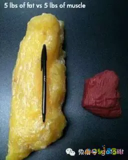 怎么运动减胸围_怎么运动减胸围_怎么运动减胸围