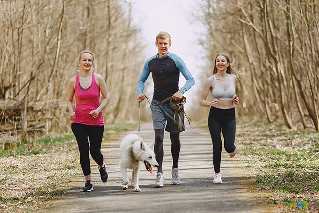 快走瘦哪个部位_快走瘦了_快走运动瘦哪里