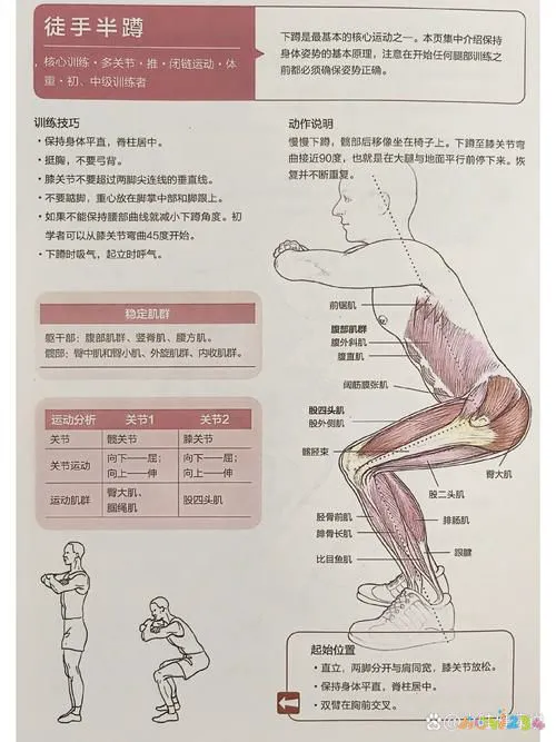 深蹲髋关节运动损伤_深蹲髋关节受伤_深蹲对髋关节骨头有伤害吗