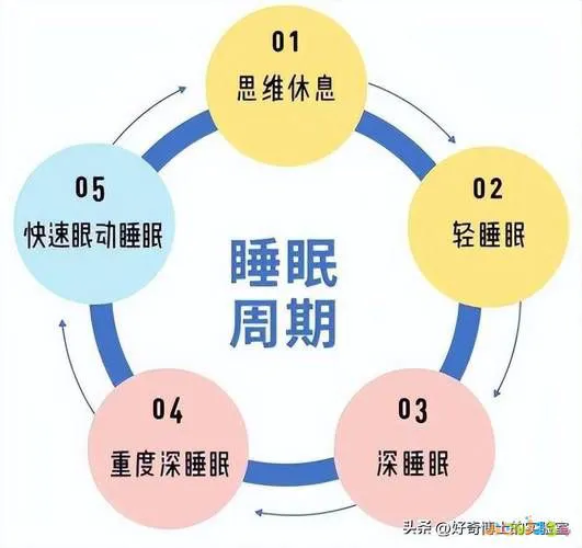 睡前床上运动减肚子_睡前在床上做运动真的会瘦吗_睡前运动减肥动作床上