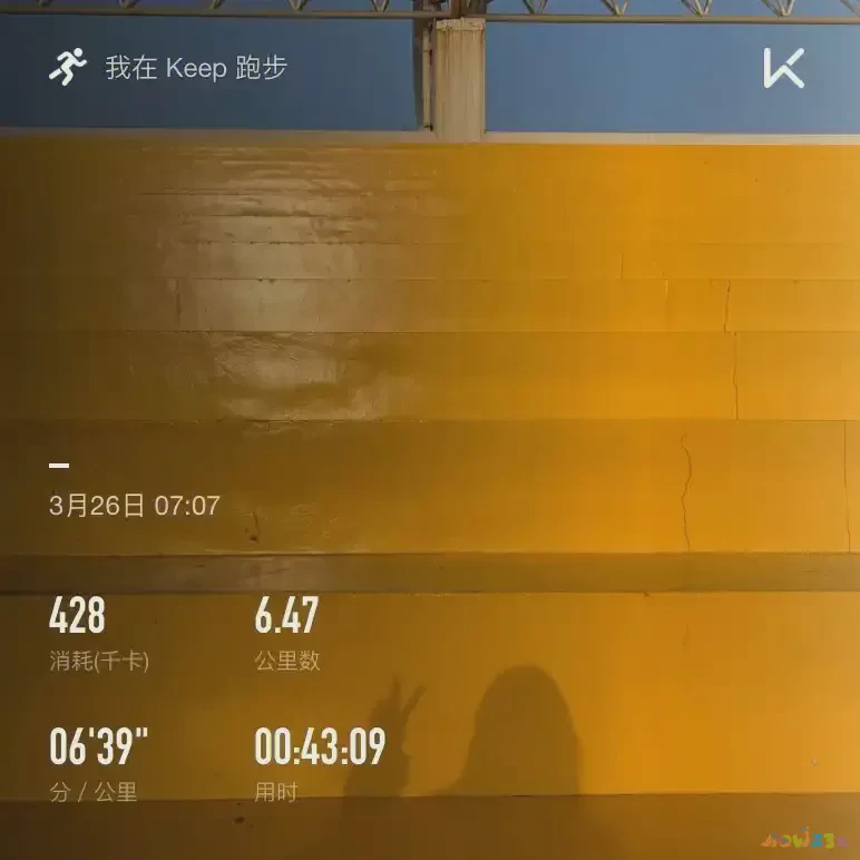 减胸的运动_减胸_男的什么运动减胸