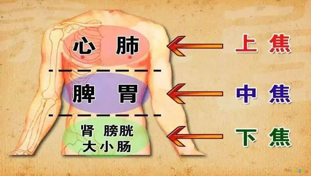 不运动就不能瘦下来吗_穿爆汗裤运动一个月能瘦几斤_运动不节食能瘦吗