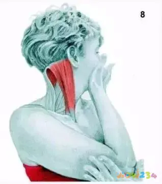 运动拉伸动作图片_拉伸运动图片动作大全_拉伸运动图片动作视频