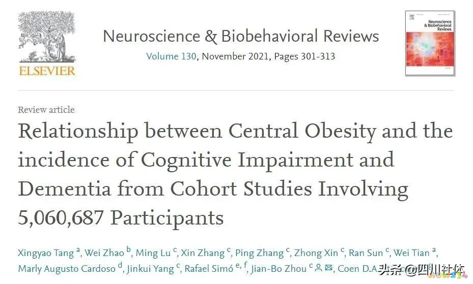 臀部大腿减脂_减臀部和大腿根部的运动_什么运动减大腿和臀部效果好