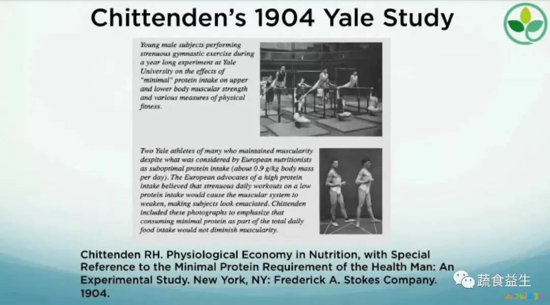 蛋白质有运动作用吗_运动需要蛋白质_蛋白质运动需要什么酶