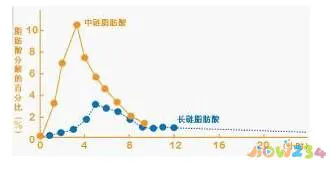 吃高热量加锻炼就可以增肌吗_热量高可以增肥吗_运动员增加体重吃什么热量最高