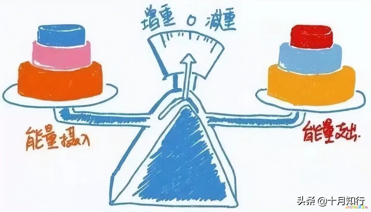 运动减肥不但没瘦反而_减脂运动不瘦还胖了_做运动没有瘦