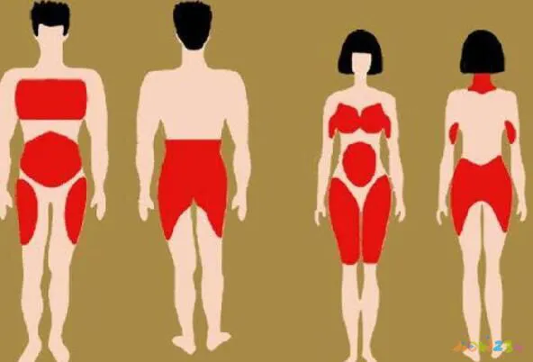 减体脂率的动作_减体脂率有哪些运动_运动减肥体脂率