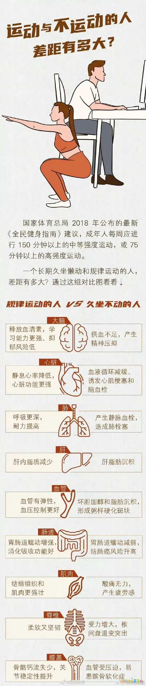 运动减肥吃饭的量_减肥运动正常吃饭可以吗_不减饭量只运动可以减肥吗