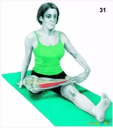 拉伸运动图片动作视频_运动拉伸动作图片_拉伸运动图片动作大全