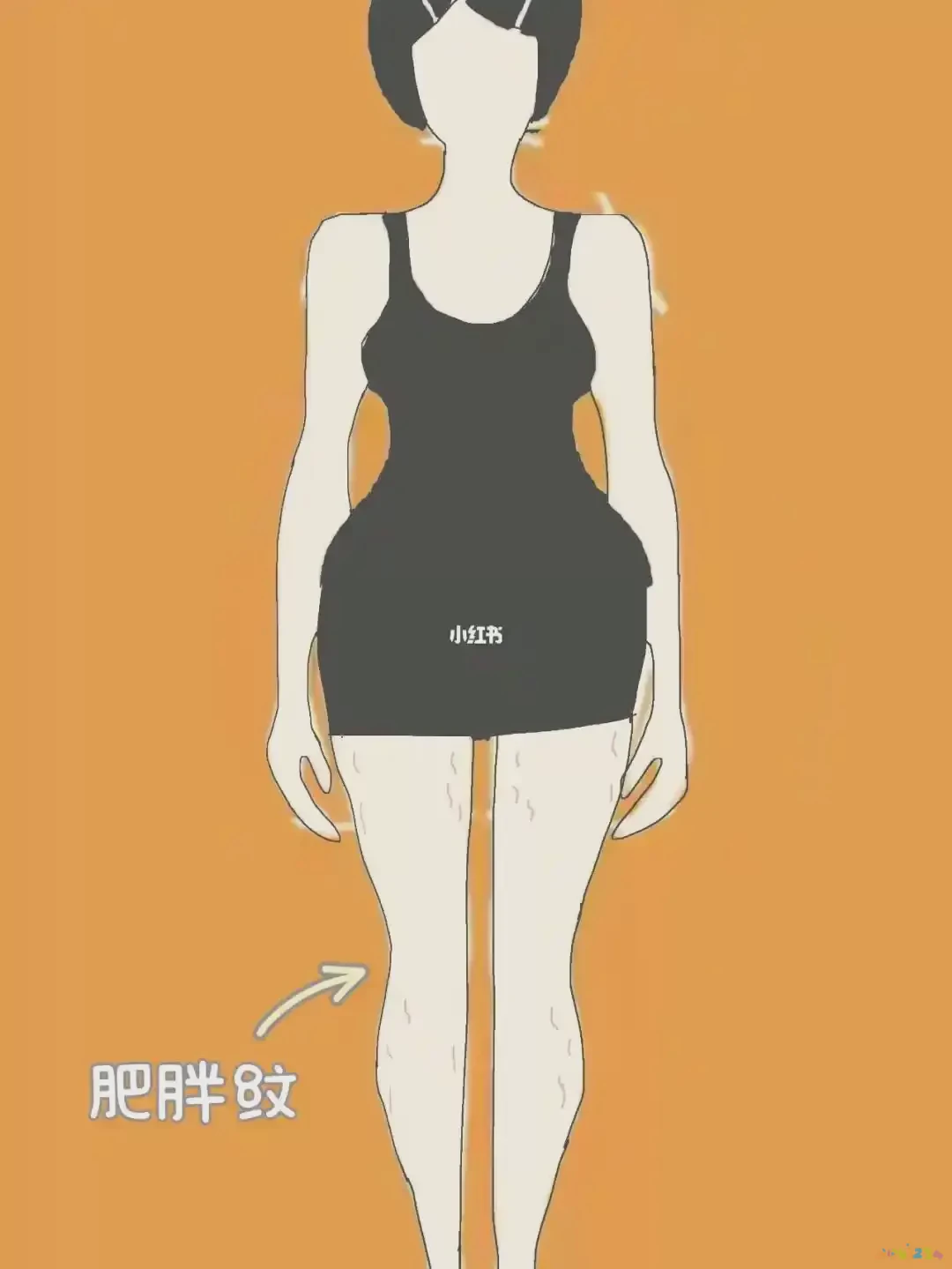 瘦腿运动有哪些_瘦腿运动有哪些动作可以做_瘦腿运动有哪些动作女性