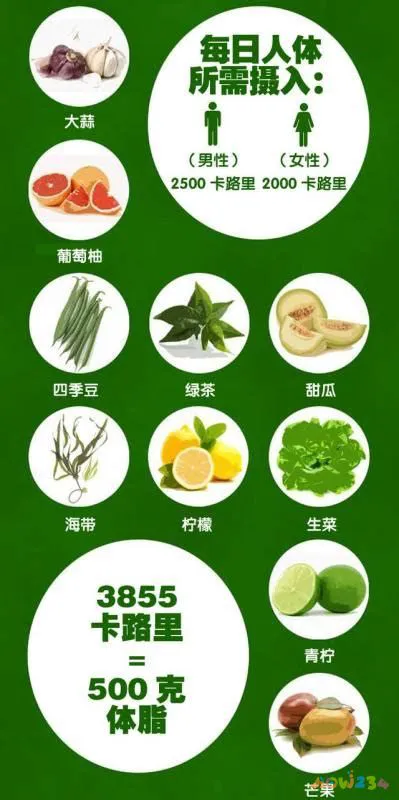 减肥无氧运动_减脂期无氧运动_运动期减脂无氧可以吗