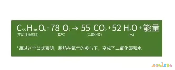 大腿脂肪消耗运动能减掉吗_怎样运动消耗大腿脂肪_大腿脂肪运动会减掉吗