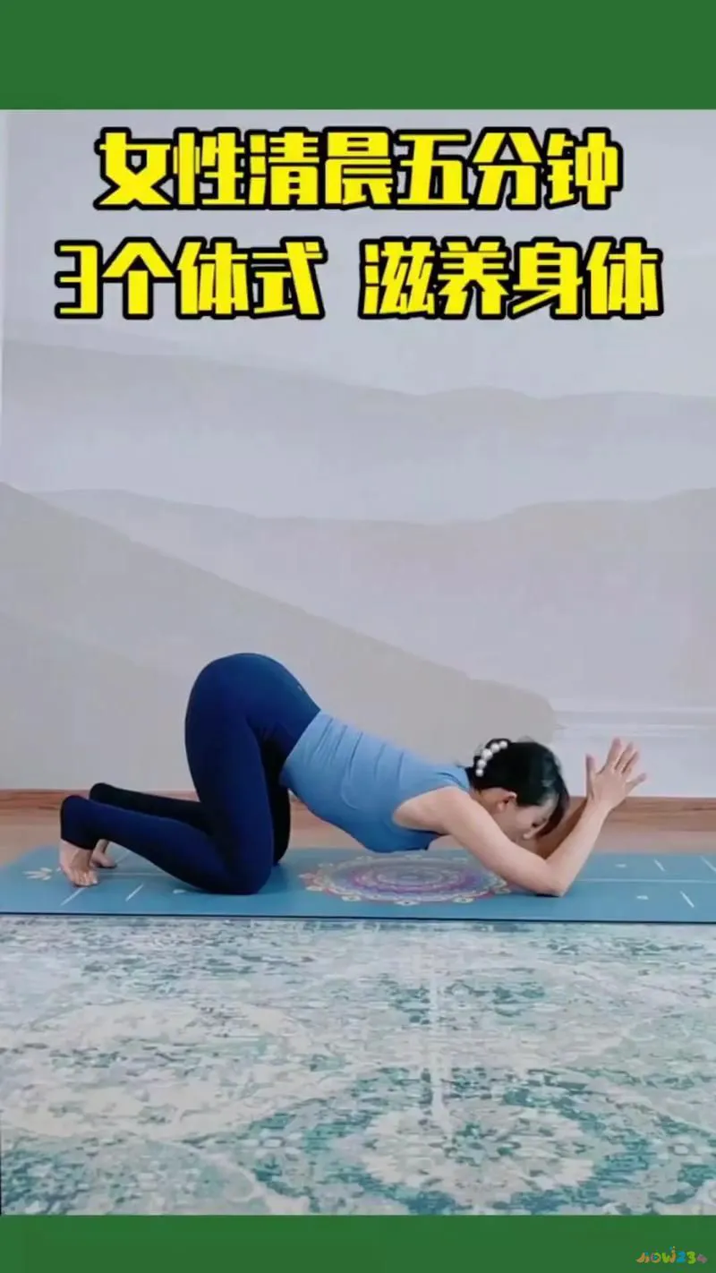 睡前减肥运动10分钟_睡前运动减肥法_睡前减肥运动视频教程