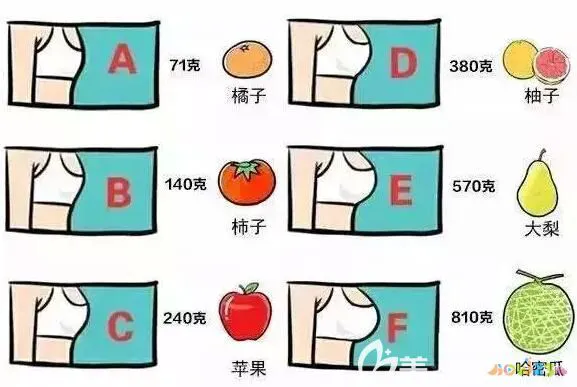 减肥瘦肚子的运动_运动减肥减肚子_瘦肚子得运动