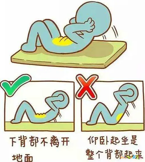 运动卷腹是什么意思啊_卷腹运动好处_卷腹是什么运动