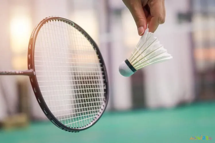 白领减肥计划_白领减肥运动有哪些_白领 运动减肥