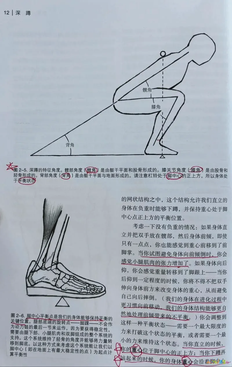深蹲髋关节受伤_深蹲髋关节受限_深蹲髋关节运动损伤