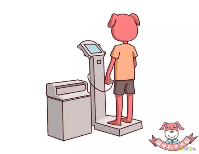 怎么运动减胸围_怎么运动减胸围_怎么运动减胸围