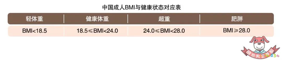 怎么运动减胸围_怎么运动减胸围_怎么运动减胸围