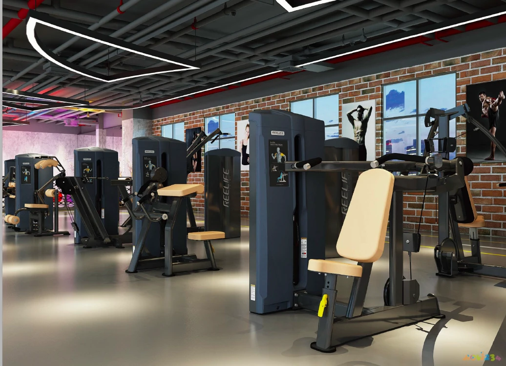 健身房运动机械_健身房机械设备_健身的机械动作名称大全