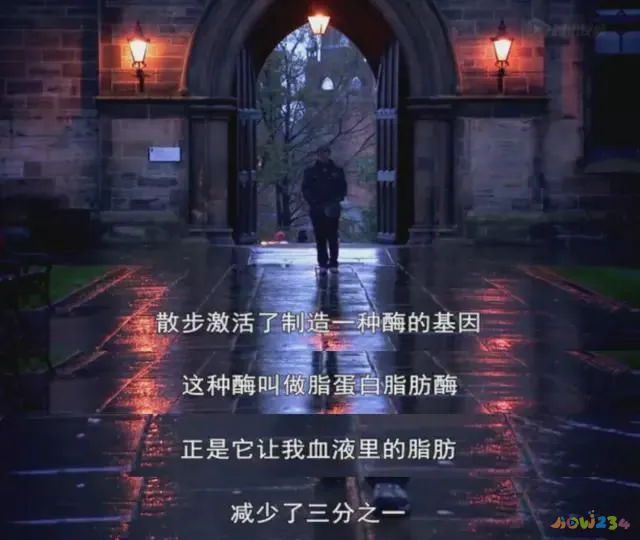 减脂期无氧运动_减脂期无氧运动多长时间_运动期减脂无氧可以吗