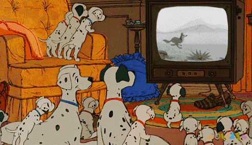 减肥能运动吗女生_减肥能运动吗_怎样不运动也能减肥