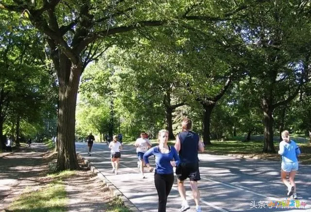 减肥肚子的皮松怎么办_肚皮减脂运动_运动减肥肚子全是皮