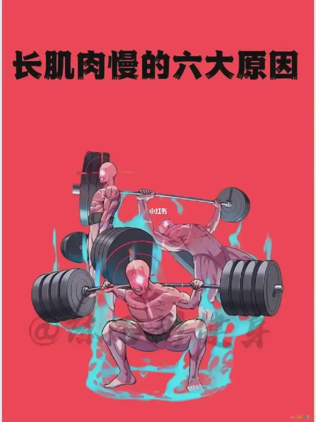 练腹肌要有氧运动吗_练腹肌要有氧还是无氧_锻炼腹肌需要有氧运动吗