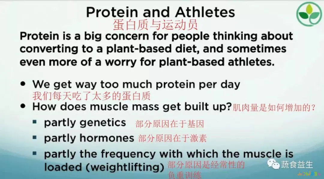 蛋白质有运动作用吗_蛋白质运动需要什么酶_运动需要蛋白质