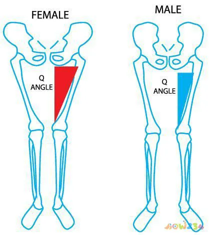 女人运动好吗_女人运动的十大好处_女人运动安排