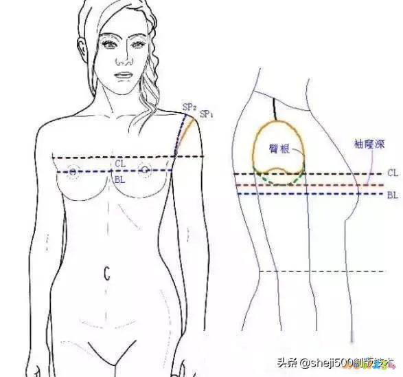 怎么运动减胸围_怎么运动减胸围_怎么运动减胸围