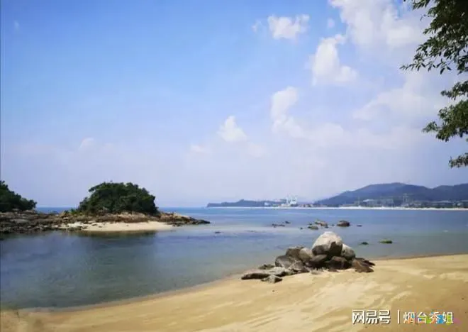 减肥操能运动出汗吗_能减肥的运动操_减肥操运动视频